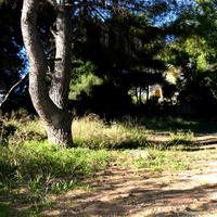 Other in Greece, 150 sq.m.