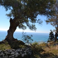 Other in Greece, 82 sq.m.