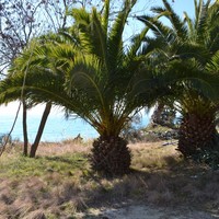 Other in Greece, 82 sq.m.