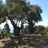 Other in Greece, 82 sq.m.