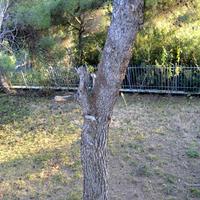 Other in Greece, 200 sq.m.