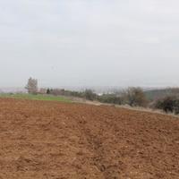 Land plot in Greece, 7104 sq.m.