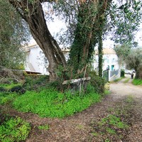 Земельный участок в Греции, 100 кв.м.