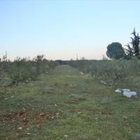Land plot in Greece