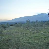 Land plot in Greece