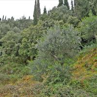 Hotel in Greece, 600 sq.m.