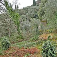 Hotel in Greece, 600 sq.m.