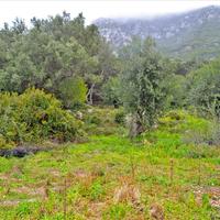 Земельный участок в Греции