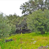 Земельный участок в Греции