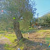 Земельный участок в Греции