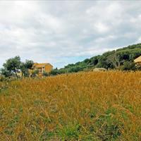 Земельный участок в Греции