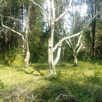 Земельный участок в Греции, 4722 кв.м.