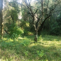 Земельный участок в Греции, 4722 кв.м.