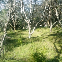 Земельный участок в Греции, 4722 кв.м.