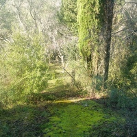 Земельный участок в Греции, 4722 кв.м.