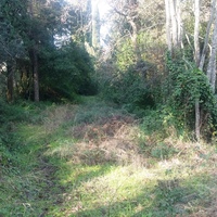 Земельный участок в Греции, 4722 кв.м.