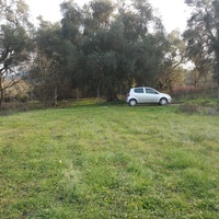 Земельный участок в Греции, 2596 кв.м.