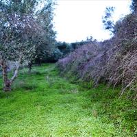 Land plot in Greece