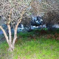 Land plot in Greece