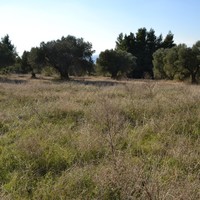 Земельный участок в Греции