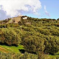 Villa in Greece, 110 sq.m.