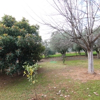 Другое в Греции, 100 кв.м.