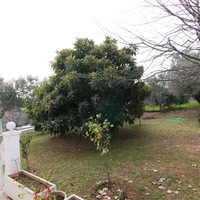 Другое в Греции, 100 кв.м.