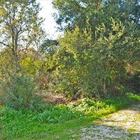 Земельный участок в Греции