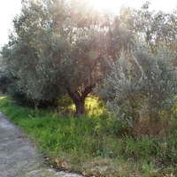 Другое в Греции, 180 кв.м.