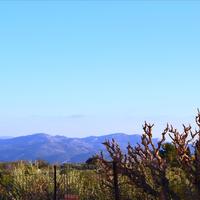 Other in Greece, 280 sq.m.