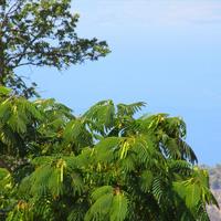 Другое в Греции, 170 кв.м.