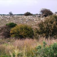 Land plot in Greece