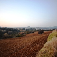 Land plot in Greece, 9000 sq.m.