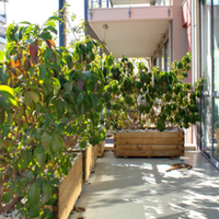 Flat in Greece, 85 sq.m.