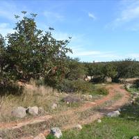 Земельный участок в Греции