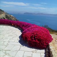 Villa in Greece, 400 sq.m.