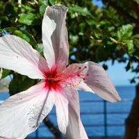 Business center in Greece, 220 sq.m.