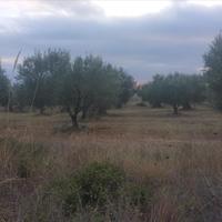 Land plot in Greece