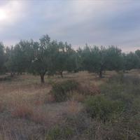 Land plot in Greece