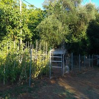 Other in Greece, 250 sq.m.