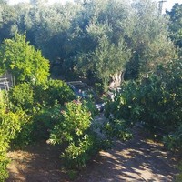 Other in Greece, 250 sq.m.