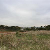 Land plot in Greece