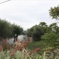 Land plot in Greece
