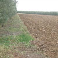 Land plot in Greece