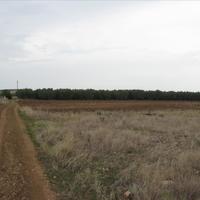 Land plot in Greece