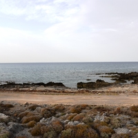 Land plot in Greece, 13500 sq.m.