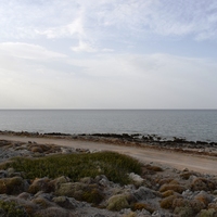 Land plot in Greece, 13500 sq.m.