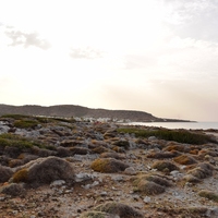 Land plot in Greece, 13500 sq.m.