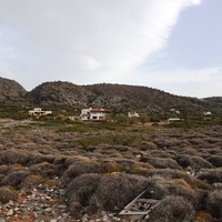 Land plot in Greece, 13500 sq.m.