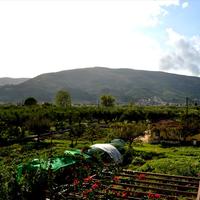 Вилла в Греции, 350 кв.м.